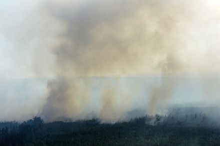 МЧС назвало основной причиной пожаров в Сибири неосторожное обращение с огнём