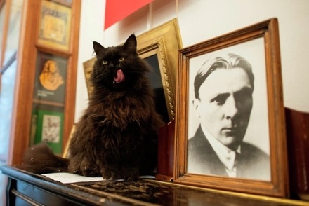 В «Булгаковском доме» опровергли выход на пенсию кота Бегемота