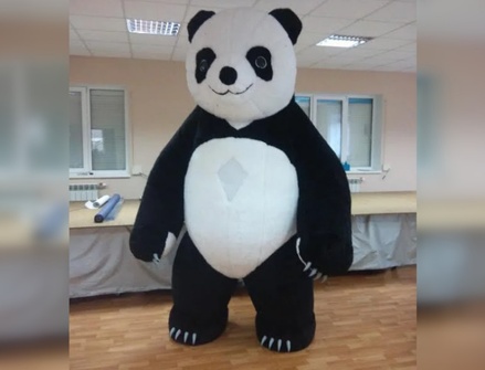 В Нижнем Новгороде мужчину задержали за кражу костюма панды