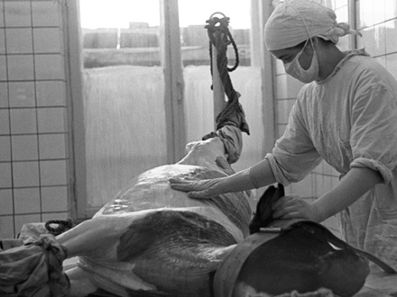 Вирусолог заявил о планах перенять опыт СССР в разработке вакцины от оспы обезьян