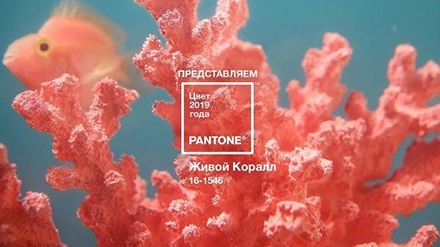 Американская компания Pantone выбрала цвет 2019 года