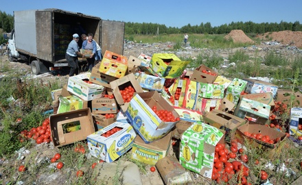 Россельхознадзор за три года уничтожил 26 тысяч тонн санкционных продуктов
