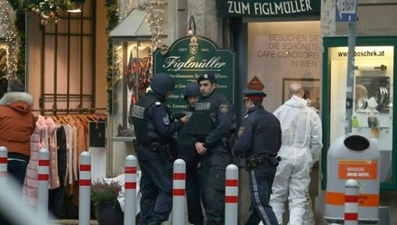 Полиция задержала подозреваемого в стрельбе в центре Вены