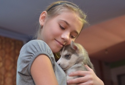 Владимир Путин подарил щенка хаски девочке из Хакасии