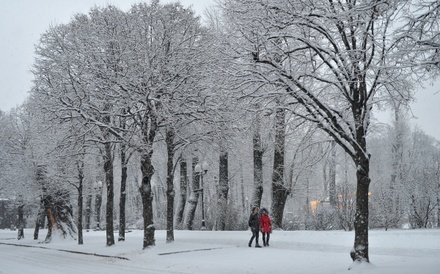 На этой неделе в Москву вернётся зима