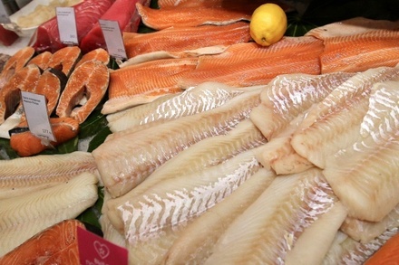 Рыбаки предупредили о сложностях с импортозамещением лосося и тунца