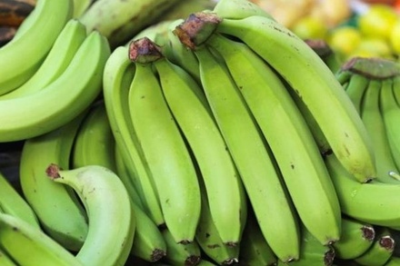 Учёные заявили о способности зелёных бананов предотвращать рак кишечника