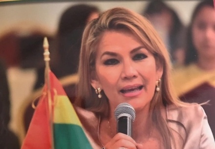 Сенатор Жанин Аньес взяла на себя полномочия президента Боливии