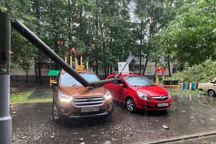 Больше 15 деревьев повалено ветром в Москве