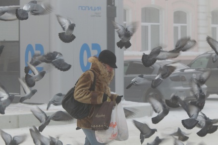 Синоптики пообещали москвичам морозную погоду