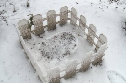 Власти Пензы уберут кладбище домашних животных в микрорайоне Маньчжурия