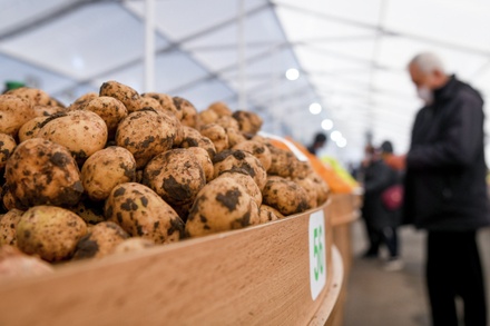 В Госдуме удивились высоким ценам на картошку в России: глаза становятся квадратными