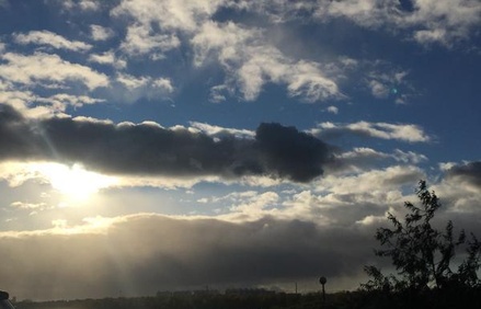 Мизулина разместила в Twitter фото фаллоподобного облака