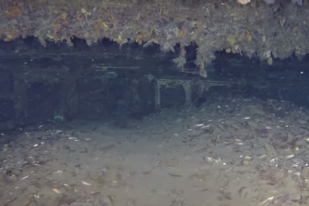 Появилось видео картин Айвазовского с затонувшего 100 лет назад парохода