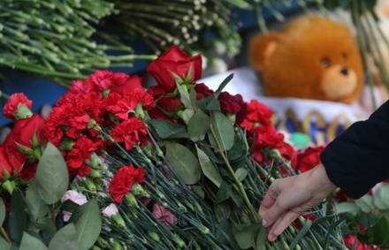 Первый борт с телами жертв катастрофы над Синаем ожидается в Петербурге к полуночи