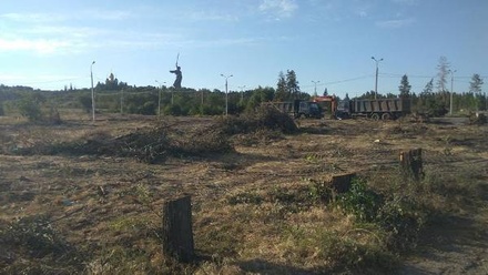 Власти Волгограда объяснили вырубку Парка сталинградских вдов