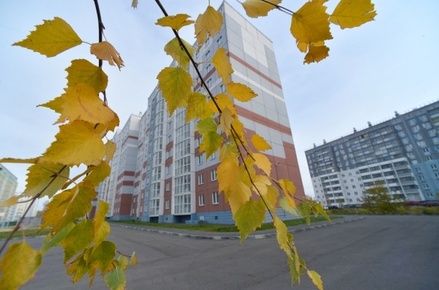 Кабмин поддержал законопроект о всероссийской реновации с условием доработки