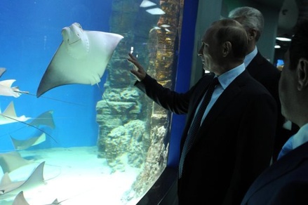 Владимир Путин приехал в Центр океанографии и морской биологии на ВДНХ