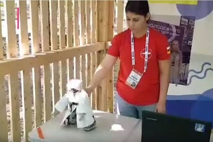 Рогозину показали робота в папахе, танцующего лезгинку
