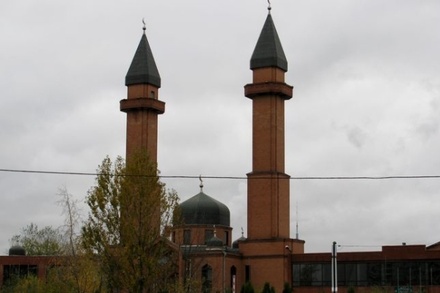 Журналист Шевченко назвал произволом задержание имама мечети в Москве