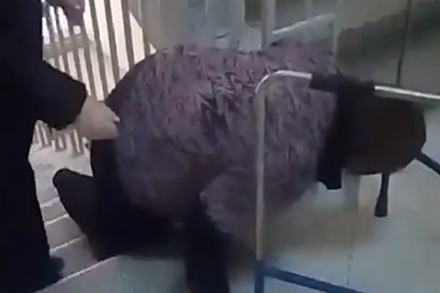 Уволен главврач больницы Уфы, где женщина ползла по лестнице из-за неисправного лифта