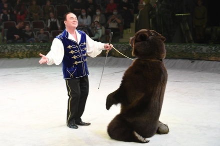 В Госдуме напомнили мэрам городов о праве запретить цирки с животными