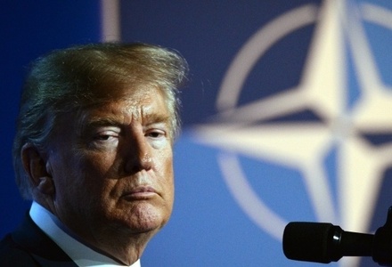 Дональд Трамп назвал безумием мысли о приёме Украины в НАТО