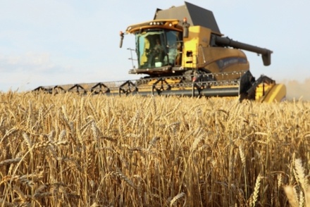 Египет увеличит закупку российской пшеницы после постройки хаба в Суэце
