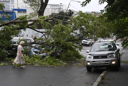 55 человек пострадали от урагана в Приморье
