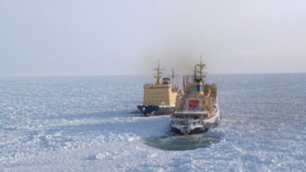 Два ледокола и два сухогруза остановились во льдах Чукотки