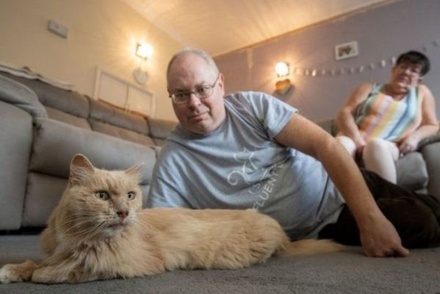 В Британии ушедший из дома после смерти хозяйки кот вернулся через три года