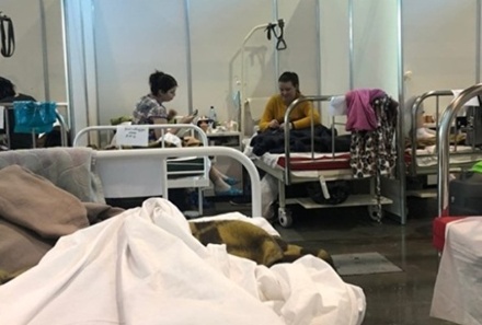 Беглов заблокировал в соцсетях пациентку, жалующуюся на условия в госпитале «ЛенЭкспо»