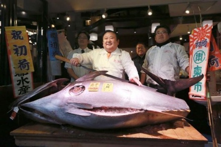 На торгах в Японии продали второго по дороговизне в 21 веке тунца