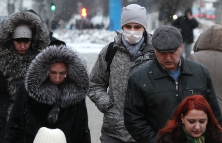 Вирусолог призвал граждан России не паниковать из-за свиного гриппа 