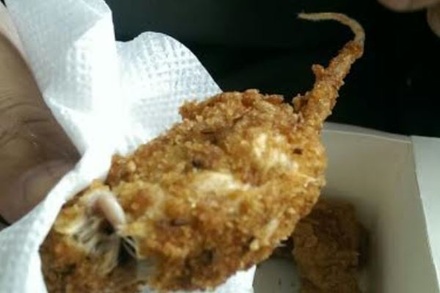 Посетитель KFC рассказал о найденной в еде зажаренной крысе