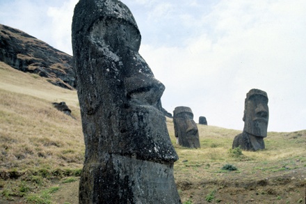 Учёные объяснили происхождение статуй-моаи на острове Пасхи