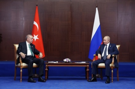 Milliyet: Эрдоган предложит Путину посредничество по Украине