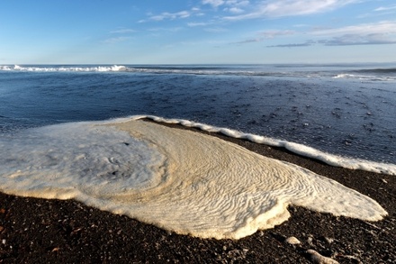 Учёные обнаружили 40-километровое пятно загрязнения у берегов Камчатки