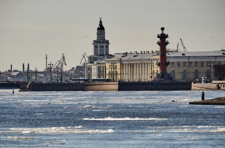 Жители Васильевского острова в Петербурге пожаловались на зловоние