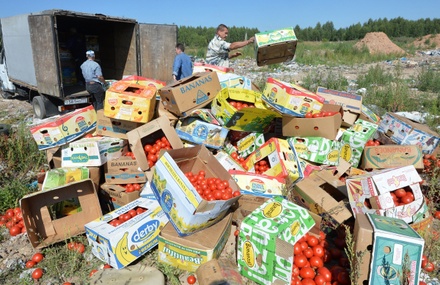 Биотопливо из контрабандного продовольствия начали делать в Оренбурге