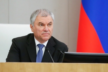 Вячеслав Володин предложил конфисковать имущество оскорбляющих Россию