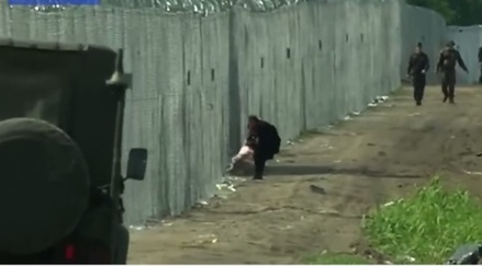 Мигранты сломали забор на границе Венгрии и Сербии