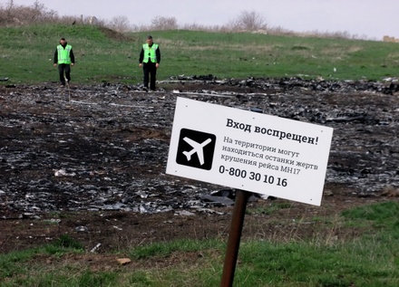 ЕСПЧ объединил жалобы  родственников жертв крушения Boeing в Донбассе к России