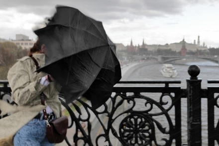В Гидрометцентре предупредили о ливнях в Москве