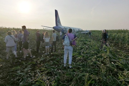 МЧС подтвердило, что после посадки А321 в Подмосковье пострадали 74 человека