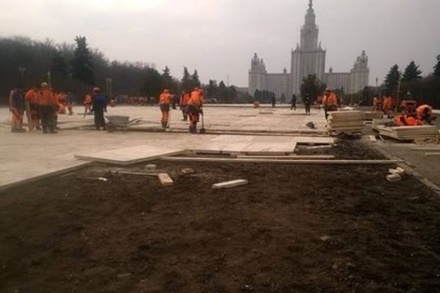 Ректор МГУ пообещал восстановить засыпанные песком клумбы с пионами
