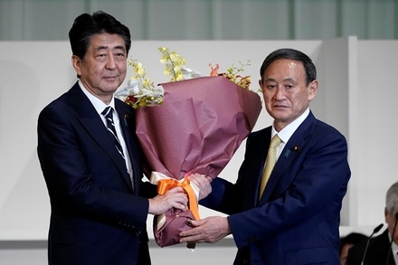 В РАН исключили подписание мирного договора с Японией после назначения нового премьера Суги