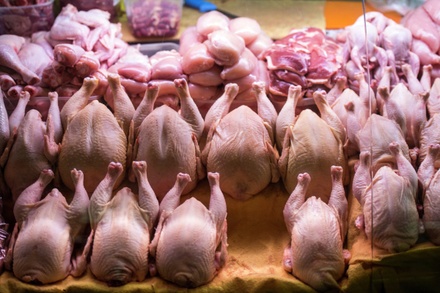 Россельхознадзор ограничит транзит в Казахстан мяса птицы из США