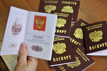 Профильный комитет Госдумы утвердил текст присяги при получении гражданства РФ