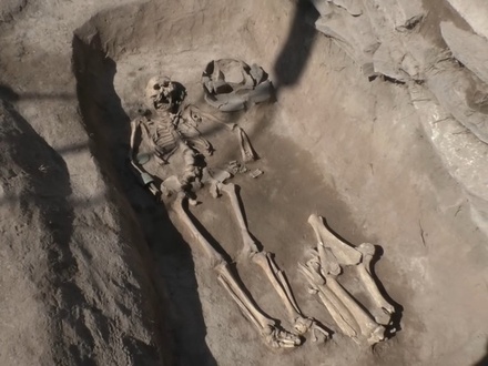 В Хакасии обнаружили уникальное захоронение эпохи Поздней бронзы